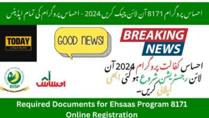 Ehsaas Program 8171 Check Online 2025 Through Web Portal