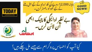 BISP 8171 Online Registration & CNIC Status Check at www.bisp.gov.pk