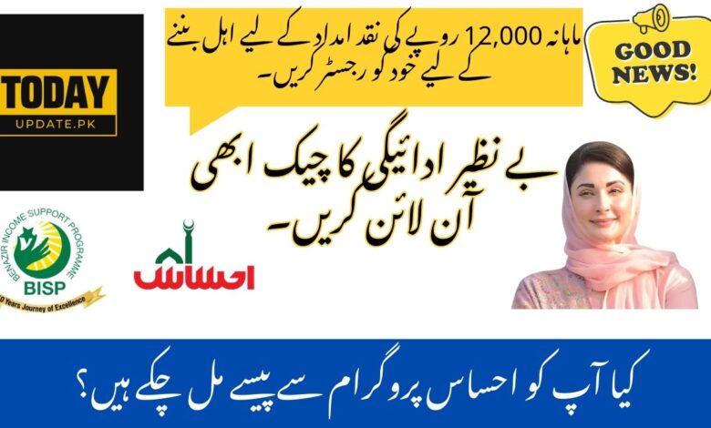 BISP Payment 8171 check online
