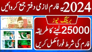 Ehsaas Program Registration Form Check Online 2024