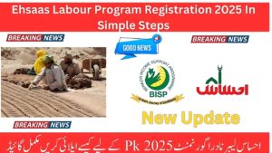 Ehsaas Labour Program Registration 2025 In Simple Steps
