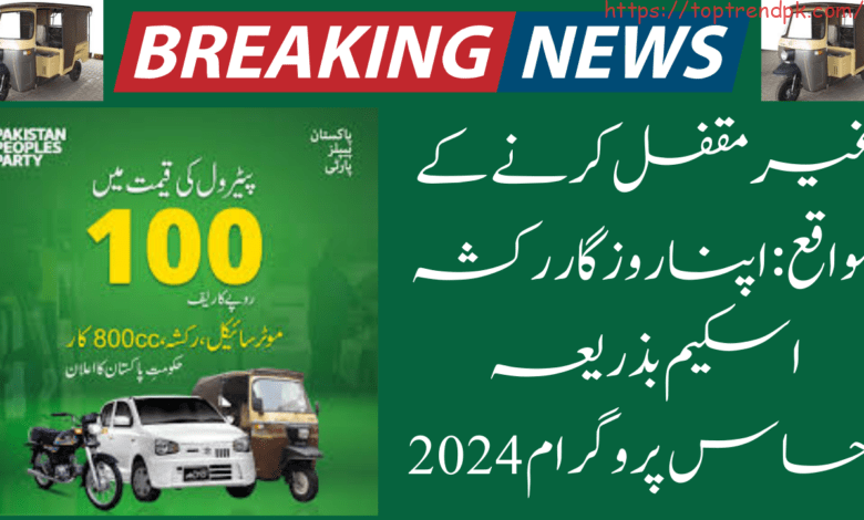 Apna Rozgar Rickshaw Scheme