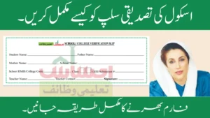 School Verification Slip By Benazir Taleemi Wazaif For New Payment
