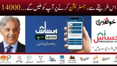 Ehsaas kafalat Program
