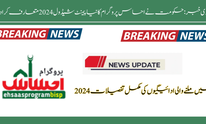 Ehsaas Program New Payment Schedule 2024