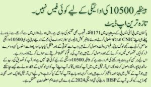 Big New: Ehsaas Programme Check Money Online By Using CNIC