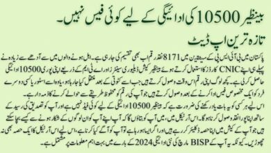 Ehsaas Programme money