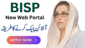 Big News: Ehsaas Web 8171 Portal Launched for Online Registration