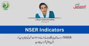 NSER Indicators for BISP – New Update For BISP Registration