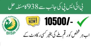 Latest Update: Solution for 938 Error in Ehsaas Program Payment