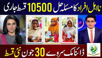 Ehsaas 10500 families