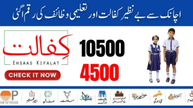 BISP Taleemi