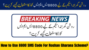 Today Update: How to Use 8800 SMS Code for the Roshan Gharana Scheme