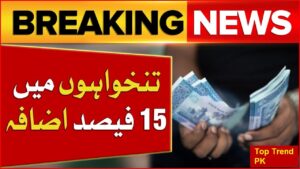 Today News: How Much Salary Increase in Budget 2024 25