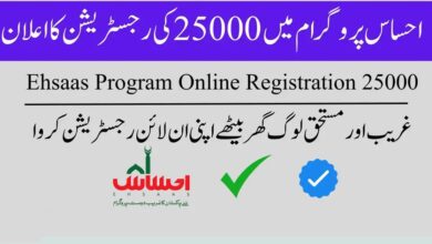 Ehsaas Program 25000 New Payment Released