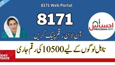 8171 web portal new payment