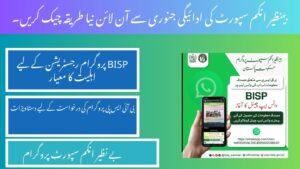BISP Balance Check Online By CNIC From JAN 2025 New Method
