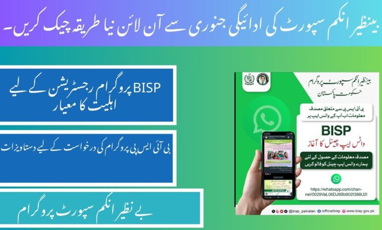 BISP balance check
