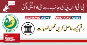 BISP Payment 10500 Release From Today Check Status Online
