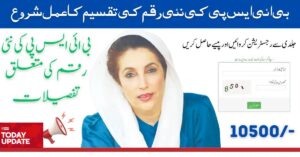 How To BISP 8171 Registration Online Check Date 2024