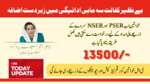 Benazir Kafalat 8171 Quarterly Payments Latest Update Oct 2025