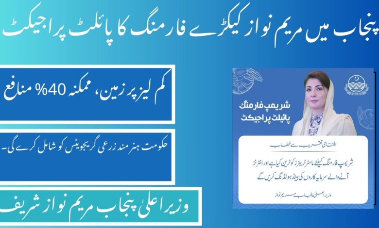 The Punjab government, under the leadership of Maryam Nawaz Sharif, has introduced a shrimp farming pilot initiative. This project will cover 100,000 acres of barren land in Punjab
