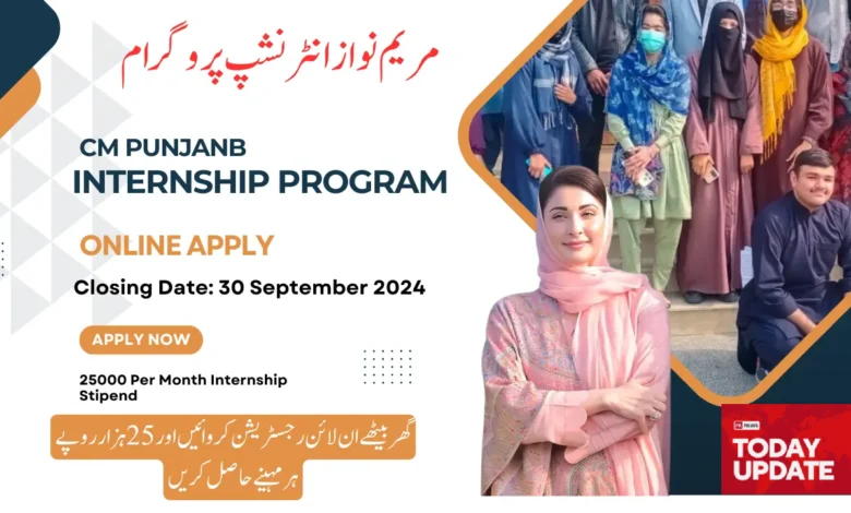 CMIP Punjab Gov Pk
