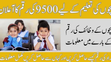 Check 10500 Payment Through 8171