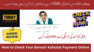 Check Benazir Kafaalat Payment Rs 13500 Through ID Card