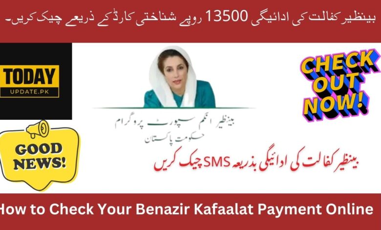 Check Benazir Kafalat Payment online
