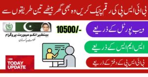 How To Check Your Eligibility In BISP Through Web Portal 2024