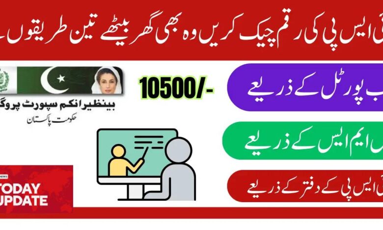 How to Check Your Eligibility in BISP