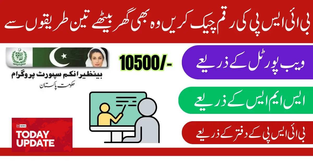 How to Check Your Eligibility in BISP