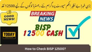 Big News! BISP 12500 Cash For New Registered People In BISP