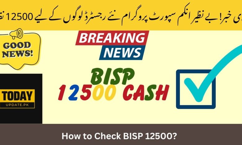 12500 Cash Program