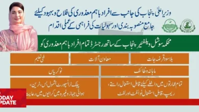 Disabled Person Registration Form Online For Ehsaas Program