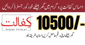 Ehsaas Kafalat Program 2025: 8171 Web Portal Payment Update & Online Registration Guide