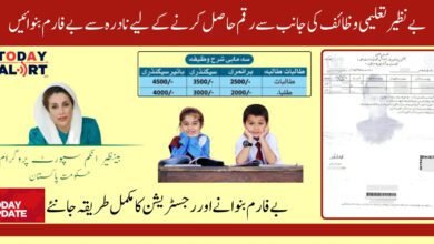 NADRA Form B Required For Benazir Taleemi Wazifa