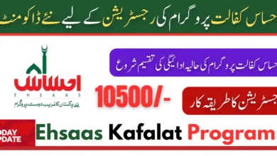 New Requirements For Ehsaas Kafalat Program