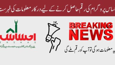 Required Documents For Ehsaas Program Registration In Office