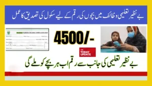 School Verification Slip Benazir Taleemi Wazaif For 4500