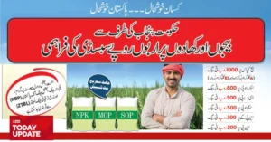 Subsidy On Cotton Seeds By Punjab Government Started 2024