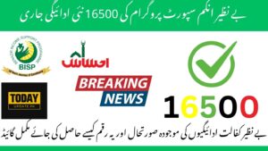 BISP Payment Update 16500 IMF Demand To Increase Payment