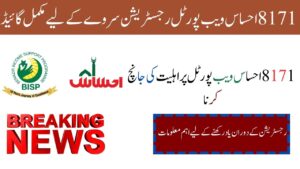 8171 Ehsaas Web Portal Registration Survey In Simple Steps