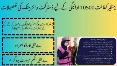 District Wise Bank Details For Benazir Kafaalat 10500 Payment