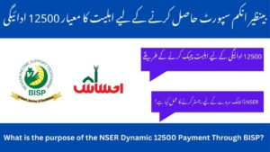 Receive 12500 Payment Through BISP Via 8171 NSER Dynamic Survey