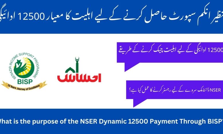 Receive 12500 Payment Through BISP Via 8171 NSER Dynamic Survey