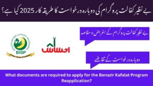 What Is Benazir Kafalat Program Reapplication Procedure 2025