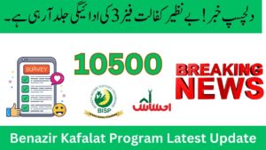 Exciting News! Benazir Kafalat Phase 3 Payment Coming Soon