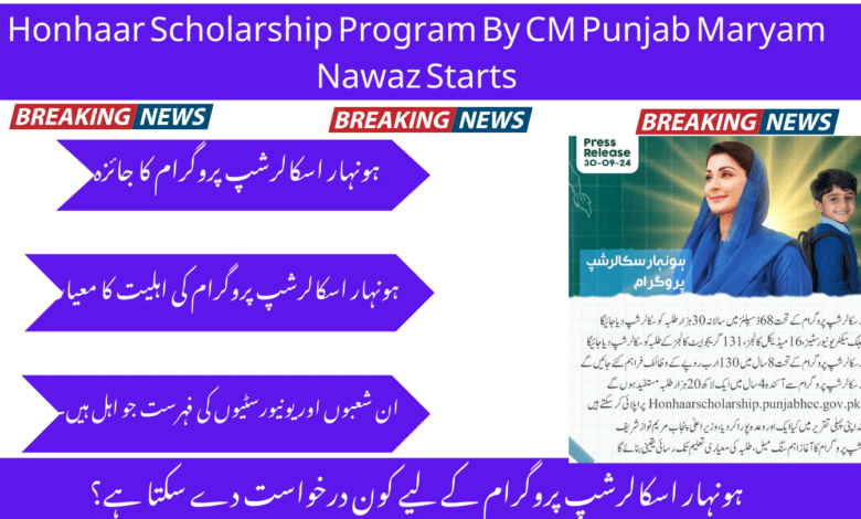 Step-by-Step Honhaar Scholarship Registration Guide
